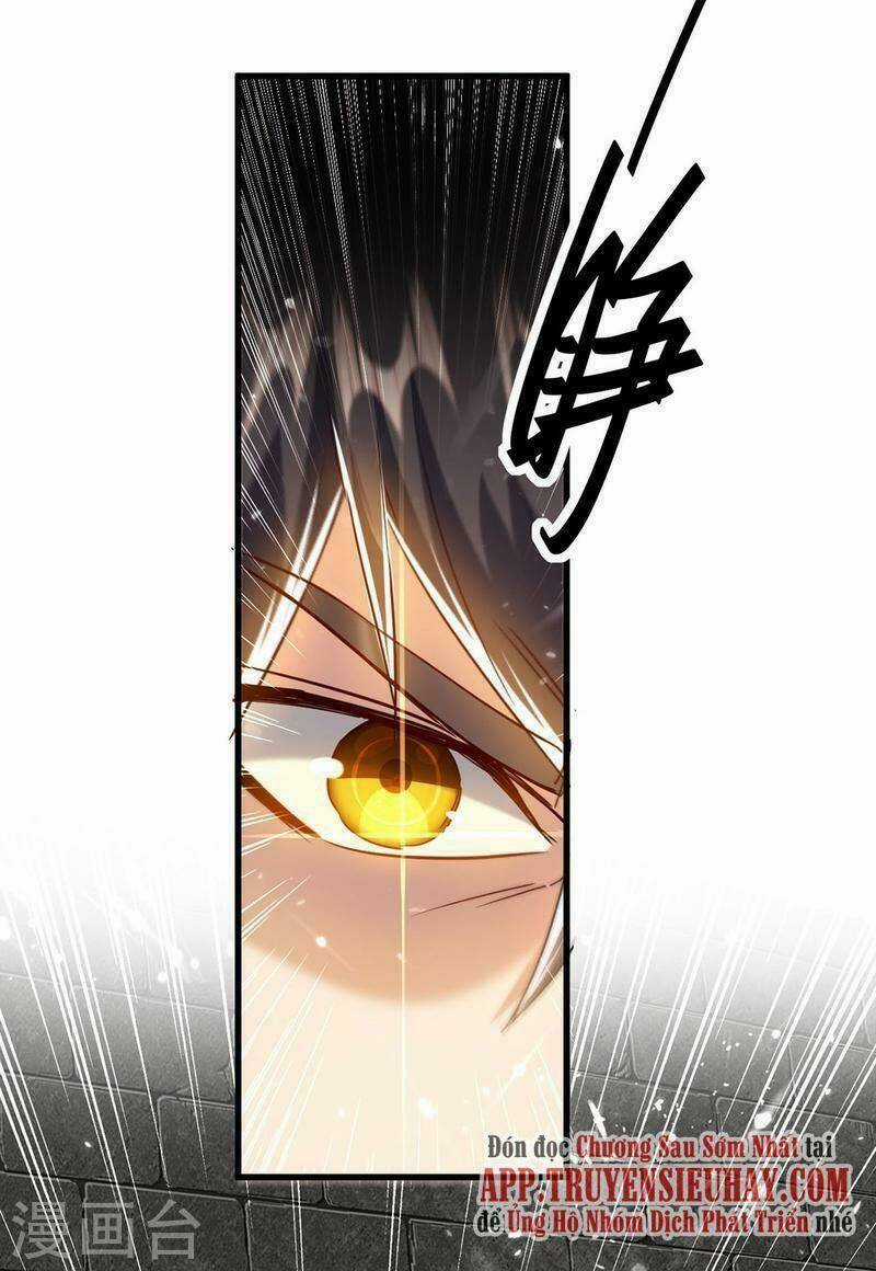 Tiên Đế Qui Lai Chapter 310 trang 1