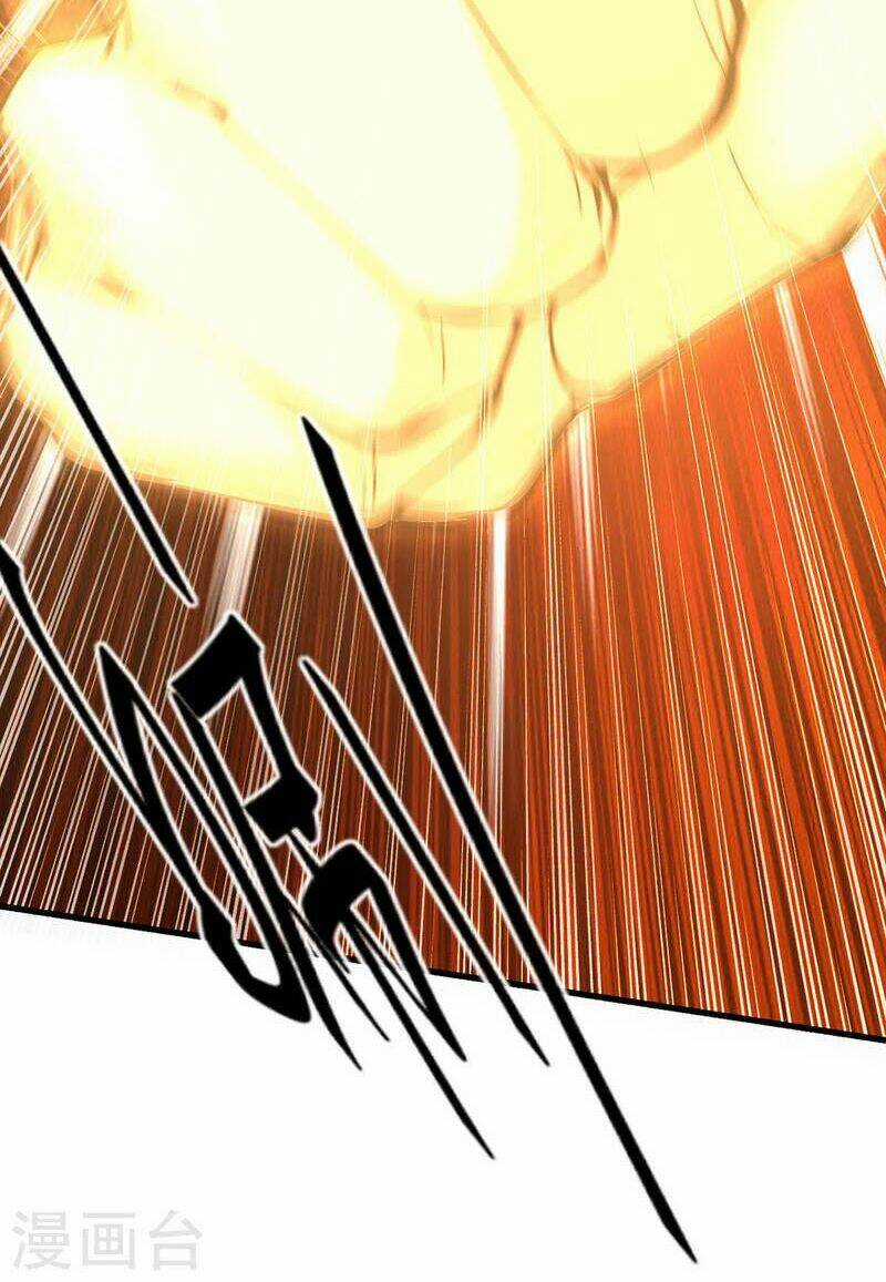 Tiên Đế Qui Lai Chapter 337 trang 29