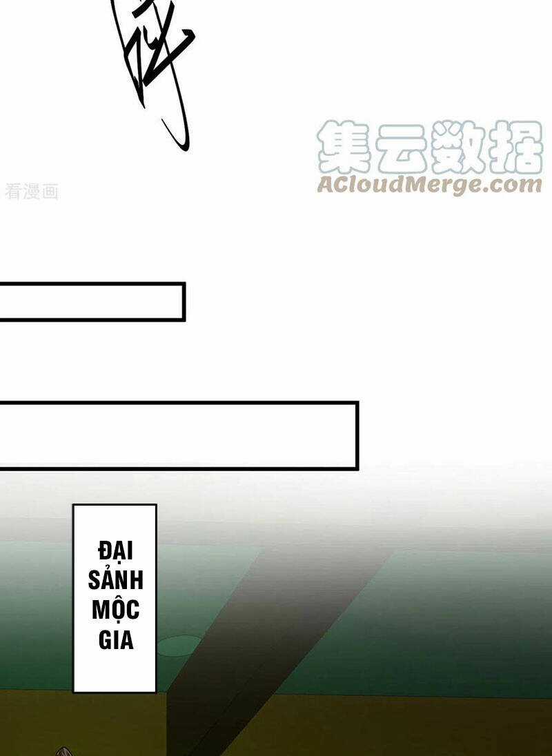 Tiên Đế Qui Lai Chapter 359 trang 11