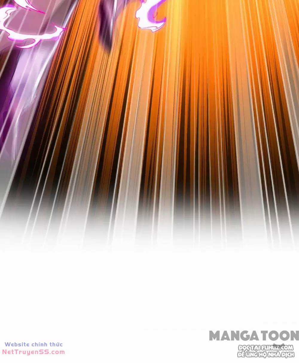 Tiên Đế Qui Lai Chapter 383 trang 44