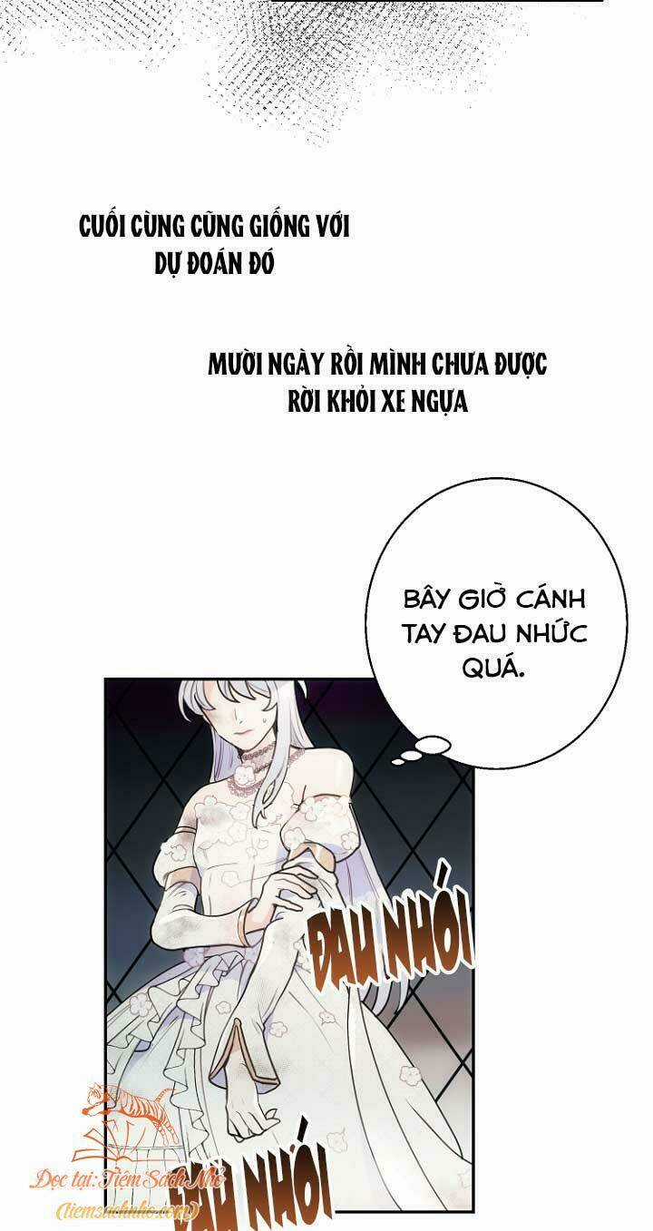 Tiền Là Tất Cả Chồng Là Phù Du Chapter 1 trang 60