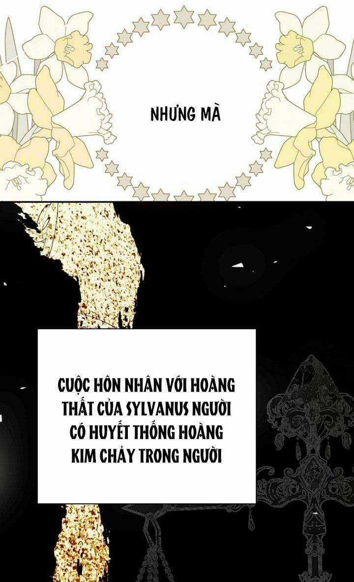 Tiền Là Tất Cả Chồng Là Phù Du Chapter 15 trang 34