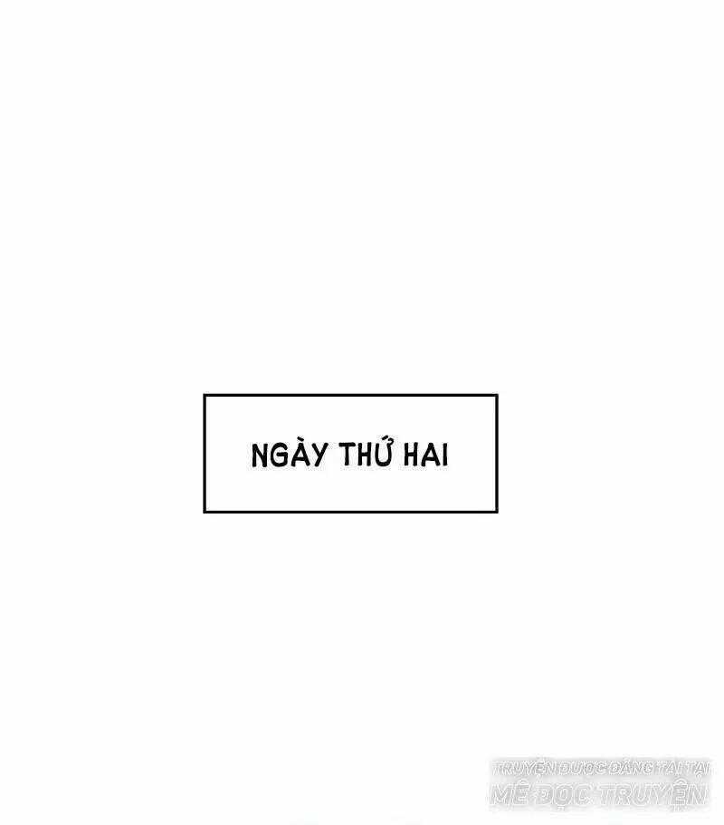 Tiền Thế Kim Sinh Của Chung Tiểu Thư Chapter 28 trang 0