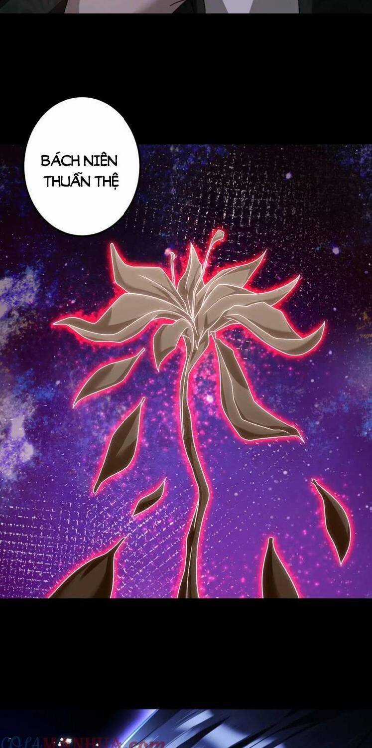 Tiên Tôn Lạc Vô Cực Chapter 242 trang 10