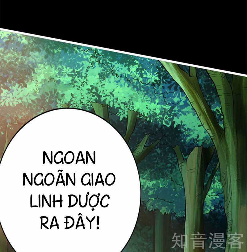 Tiên Võ Đế Tôn Chương 1 trang 23