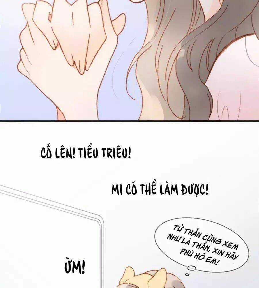 Tiếng Đàn Lặng Câm Giữa Lòng Vũ Trụ Chapter 54 trang 27