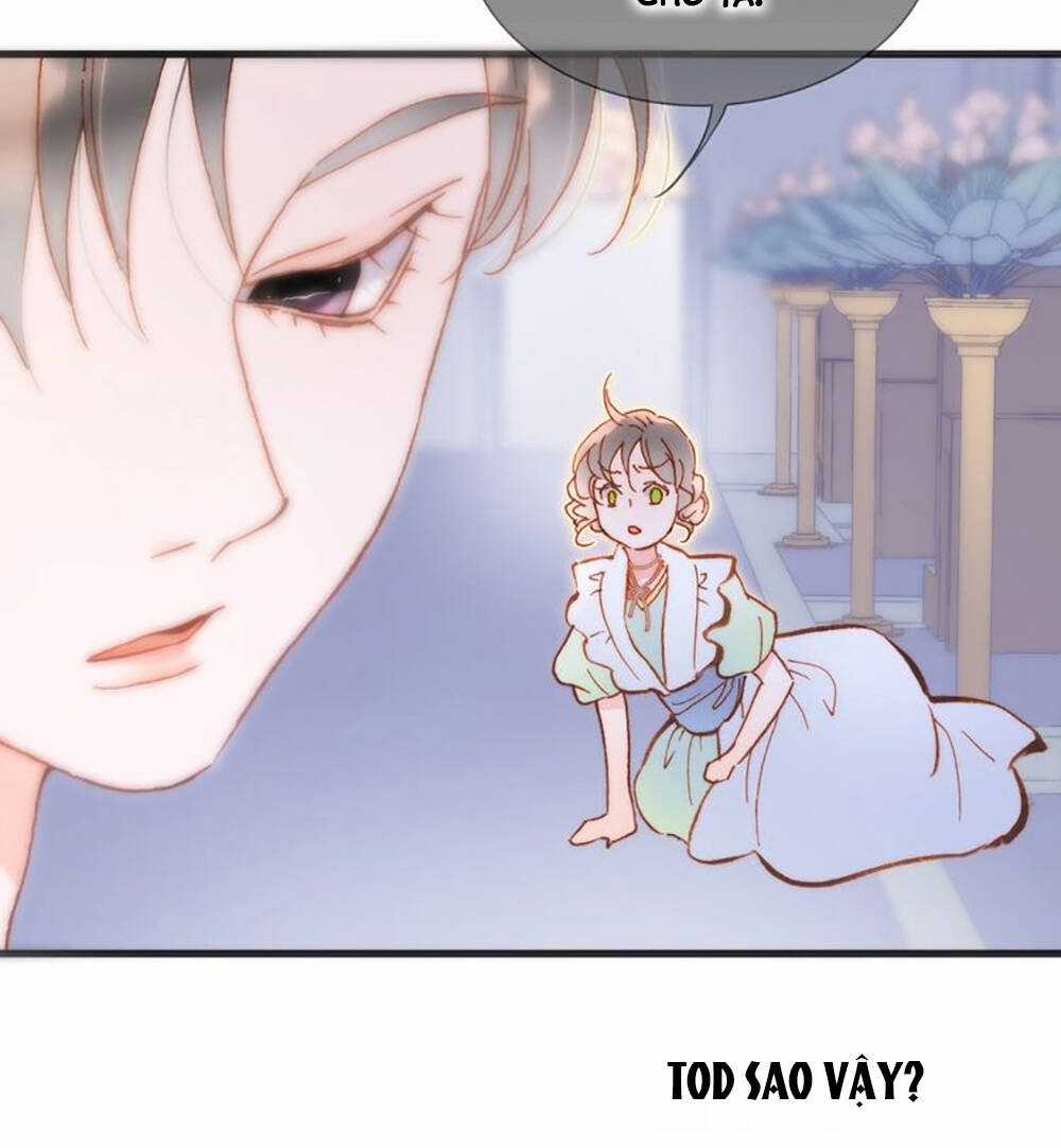 Tiếng Đàn Lặng Câm Giữa Lòng Vũ Trụ Chapter 83 trang 15