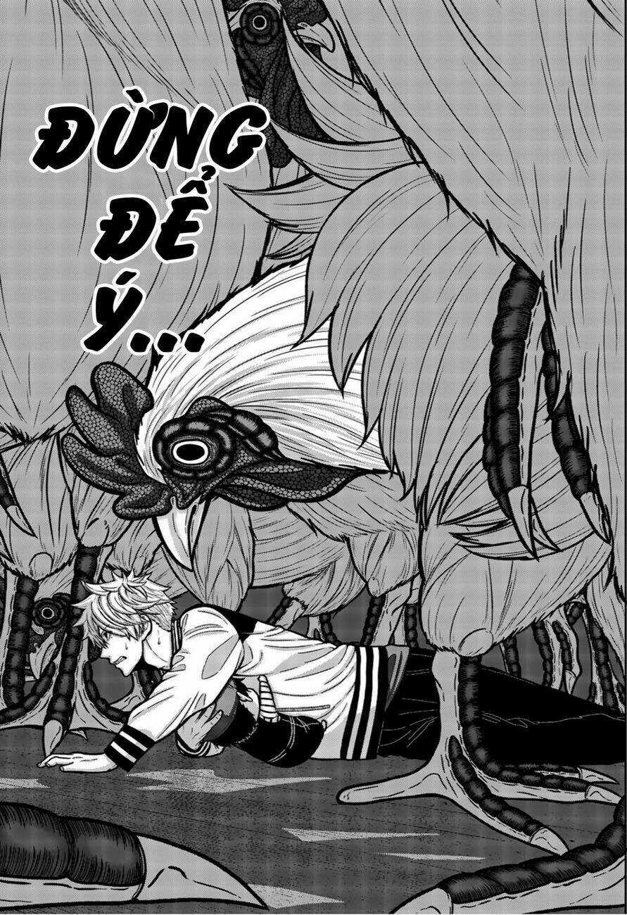 Tiếng Gáy Sát Thủ Chapter 11 trang 4