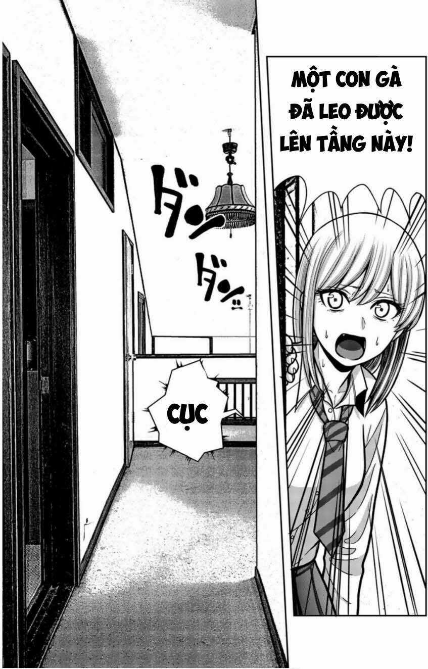 Tiếng Gáy Sát Thủ Chapter 12 trang 14