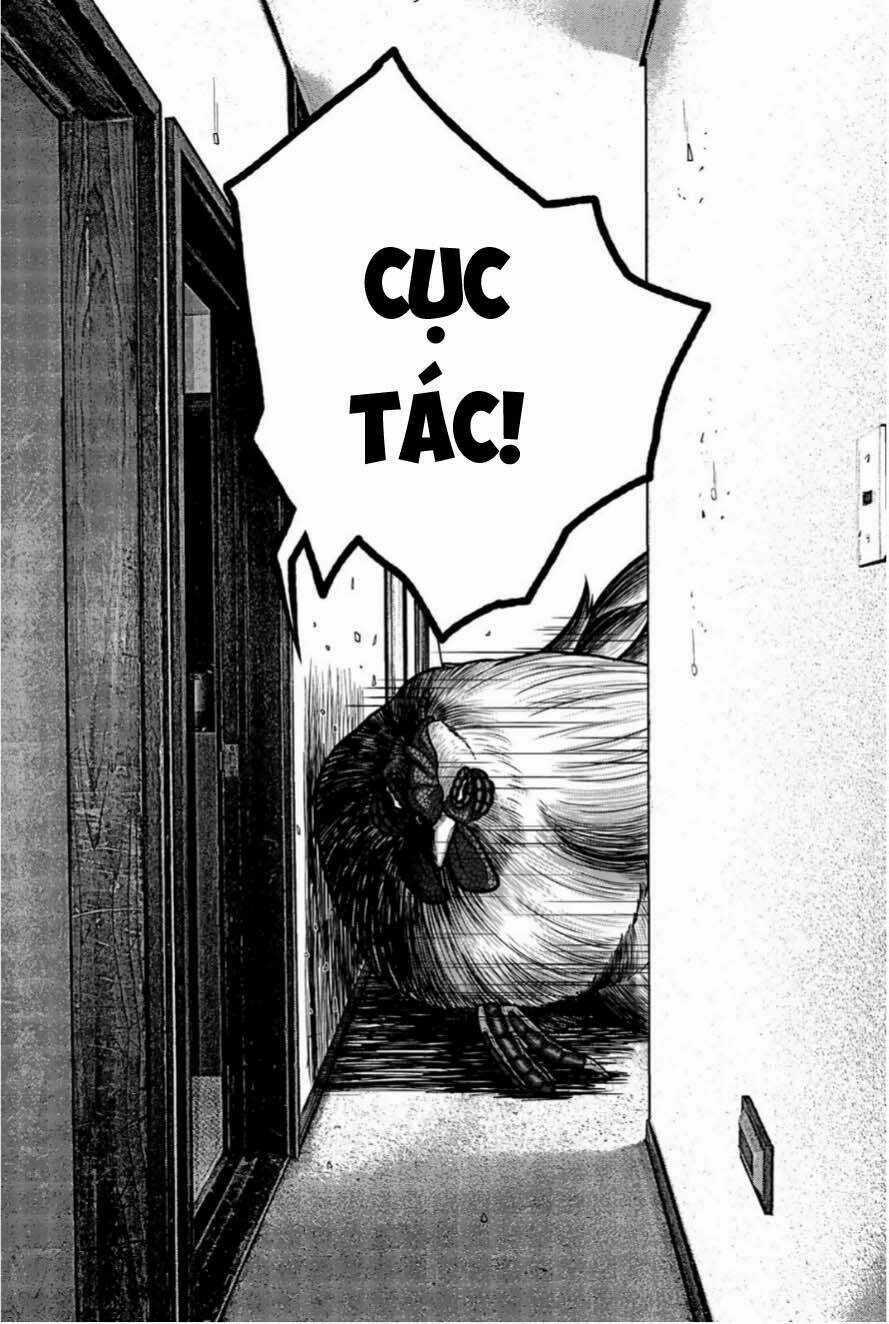 Tiếng Gáy Sát Thủ Chapter 12 trang 15