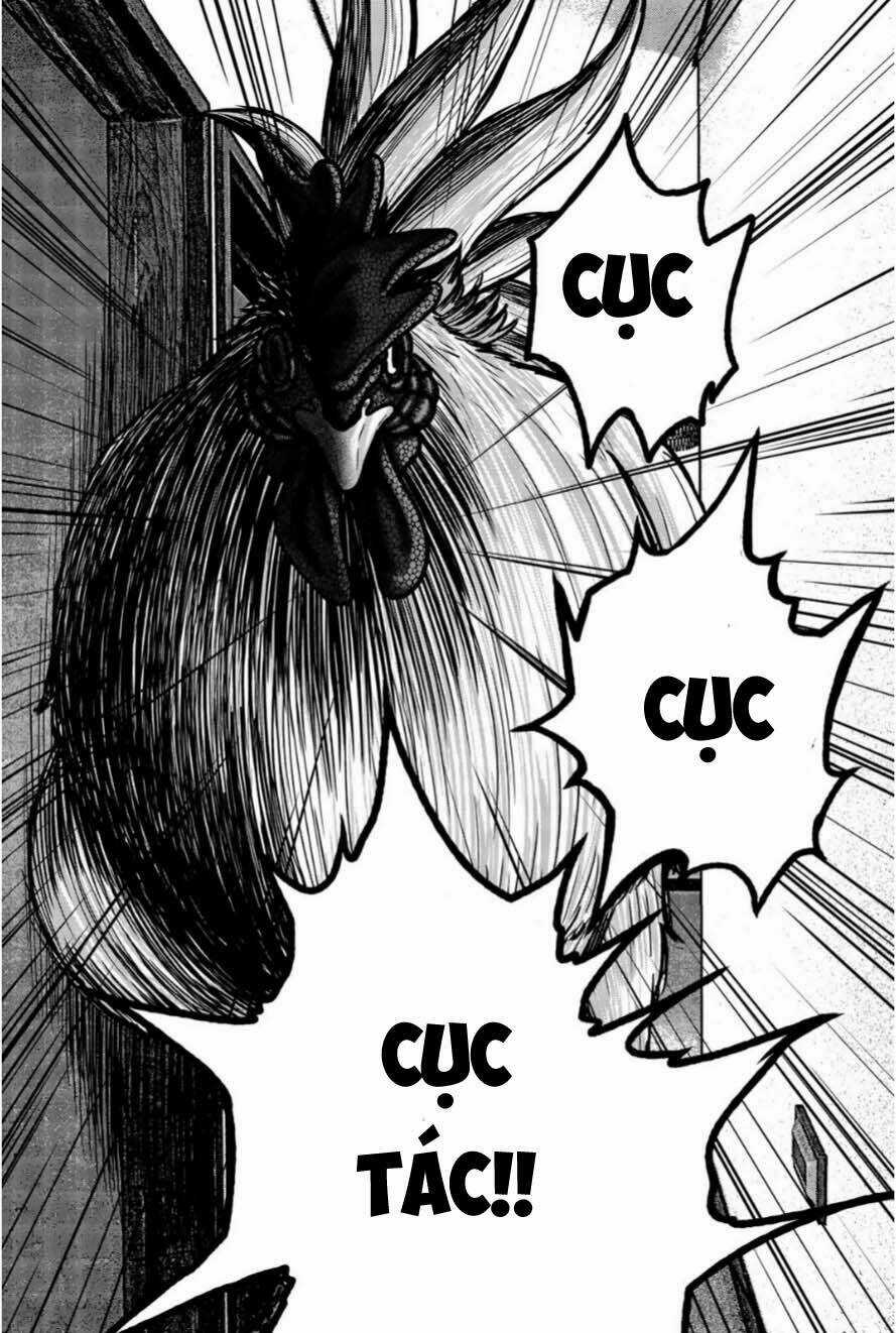 Tiếng Gáy Sát Thủ Chapter 12 trang 16