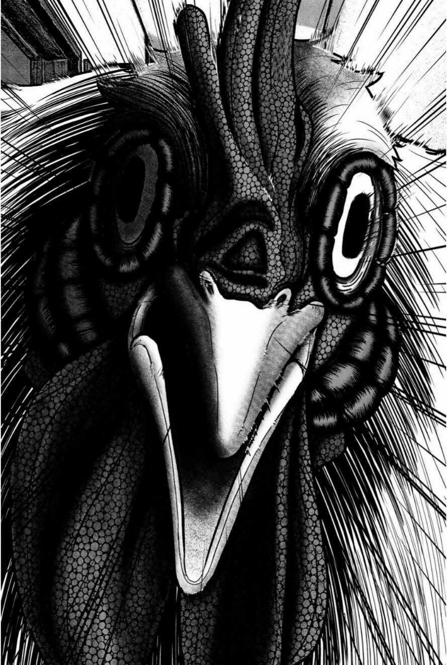 Tiếng Gáy Sát Thủ Chapter 12 trang 17