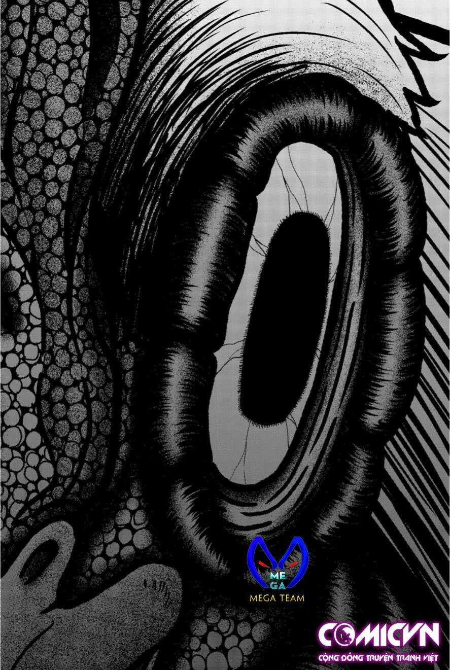 Tiếng Gáy Sát Thủ Chapter 12 trang 18