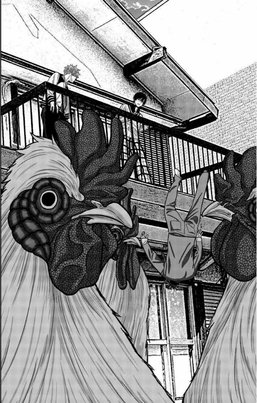 Tiếng Gáy Sát Thủ Chapter 13 trang 13