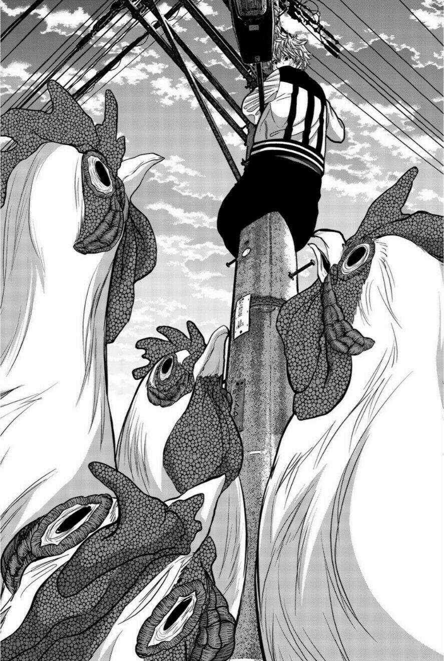 Tiếng Gáy Sát Thủ Chapter 14 trang 15