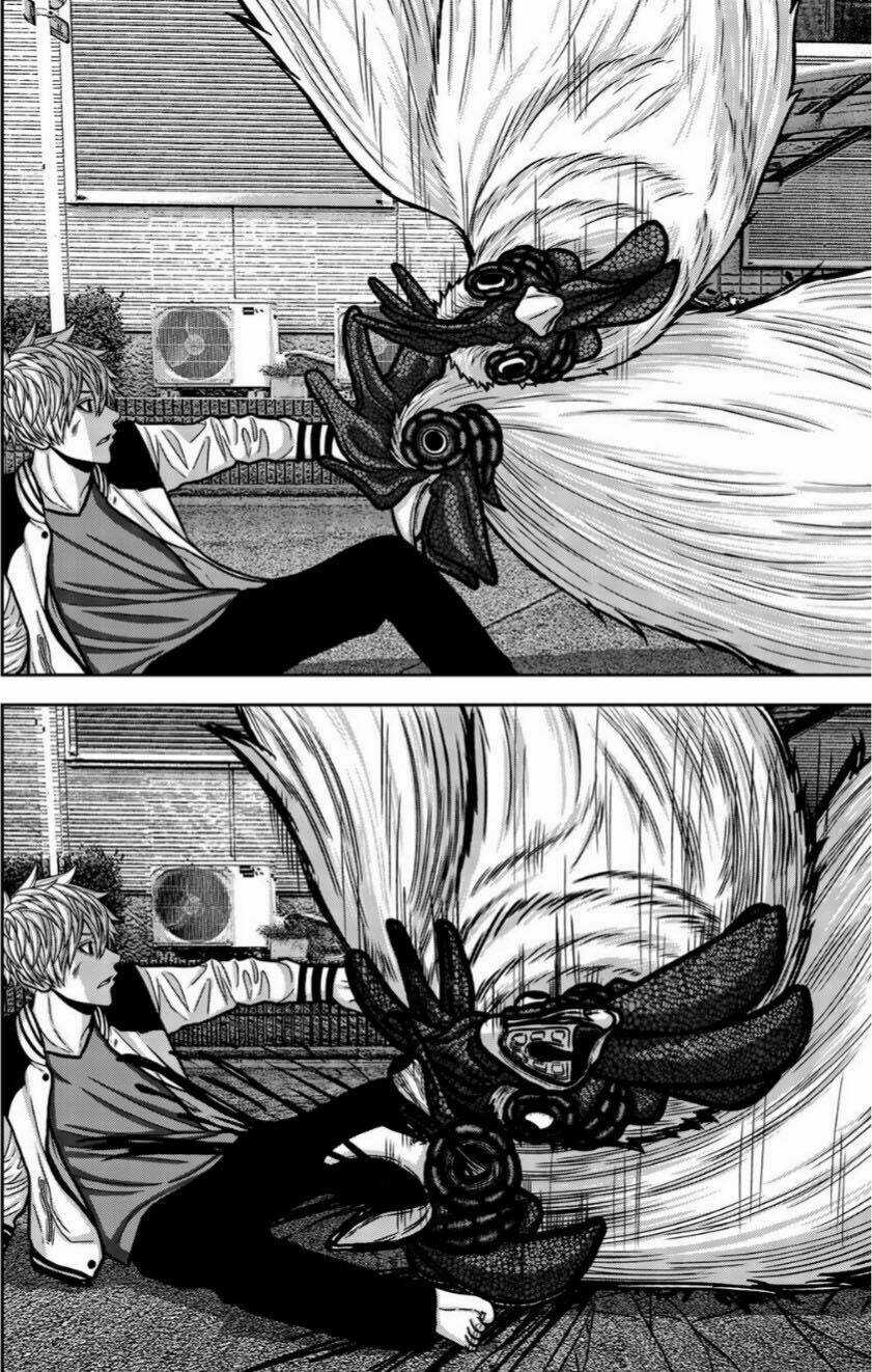 Tiếng Gáy Sát Thủ Chapter 15 trang 10