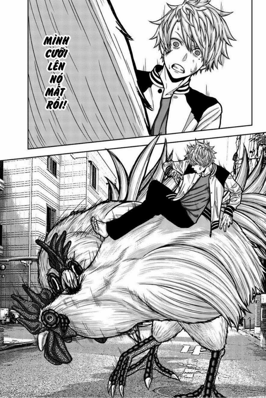 Tiếng Gáy Sát Thủ Chapter 15 trang 2