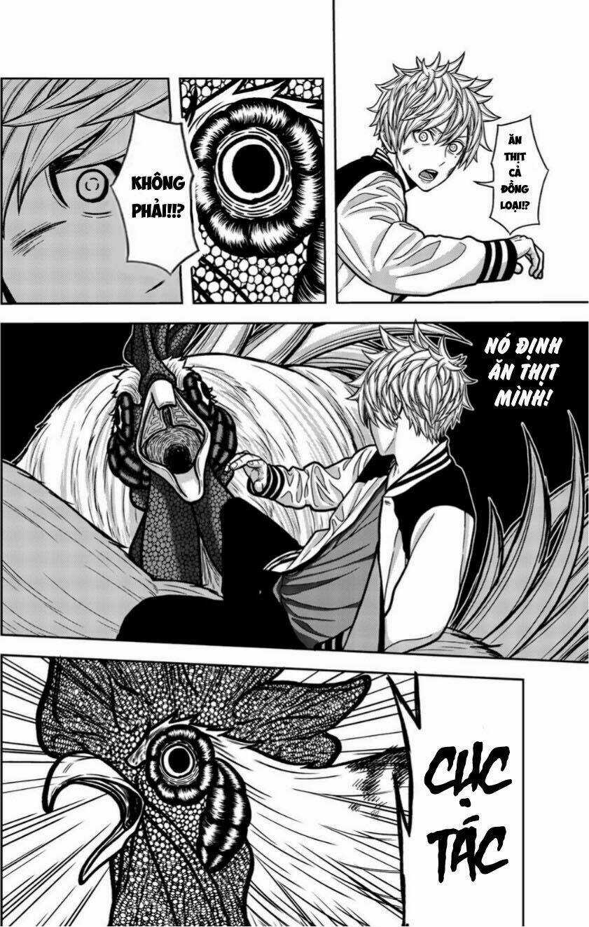 Tiếng Gáy Sát Thủ Chapter 15 trang 3