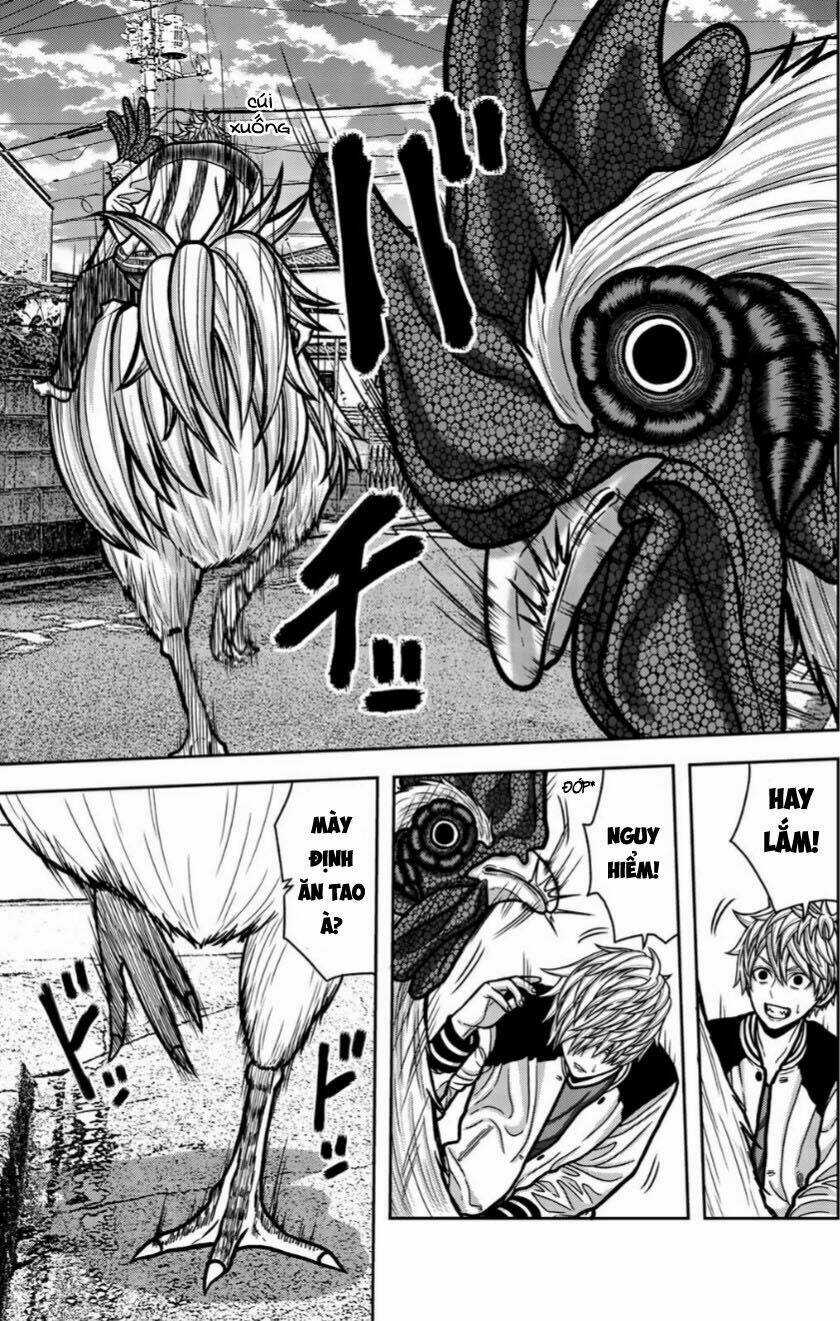 Tiếng Gáy Sát Thủ Chapter 15 trang 4