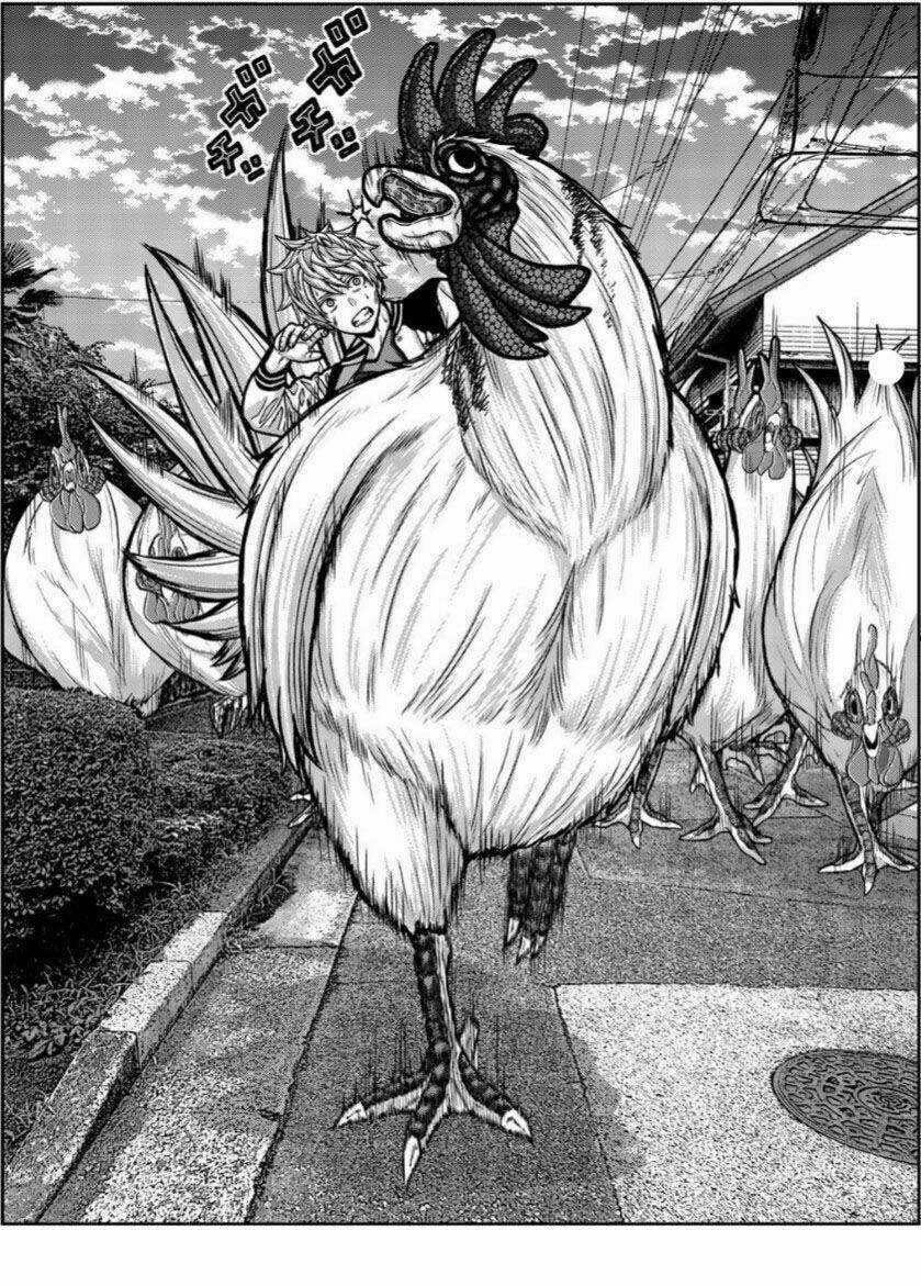 Tiếng Gáy Sát Thủ Chapter 15 trang 5