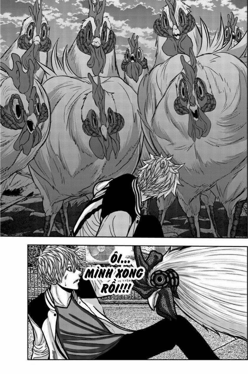 Tiếng Gáy Sát Thủ Chapter 15 trang 9