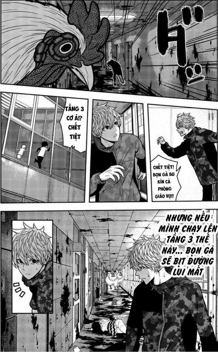 Tiếng Gáy Sát Thủ Chapter 19 trang 5