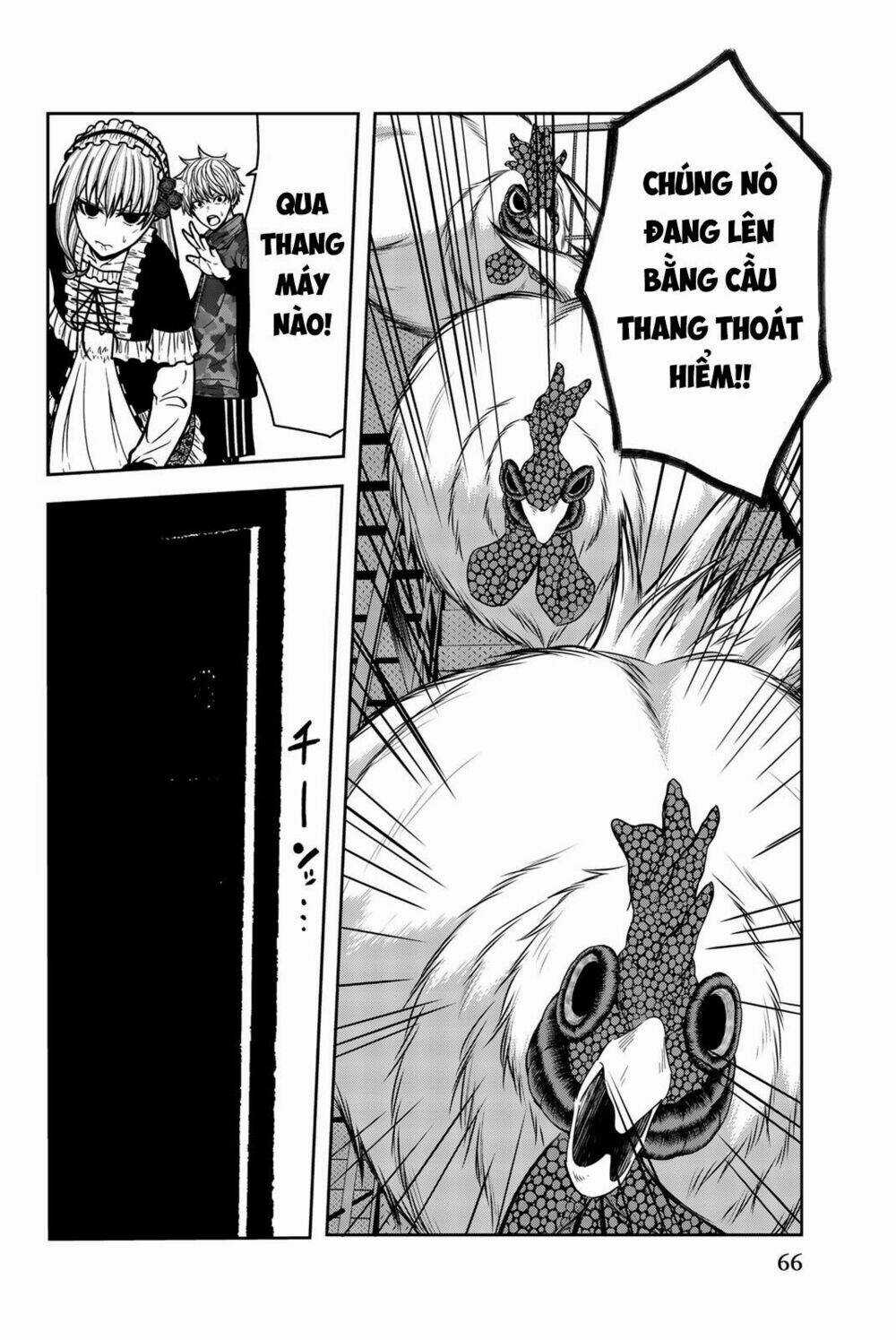 Tiếng Gáy Sát Thủ Chapter 24 trang 15