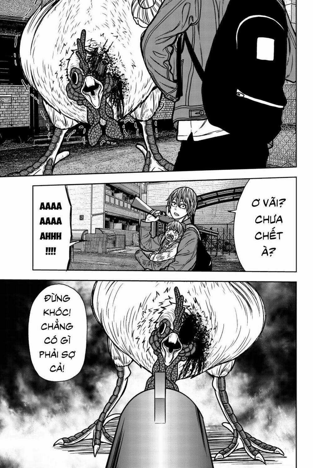 Tiếng Gáy Sát Thủ Chapter 55 trang 12