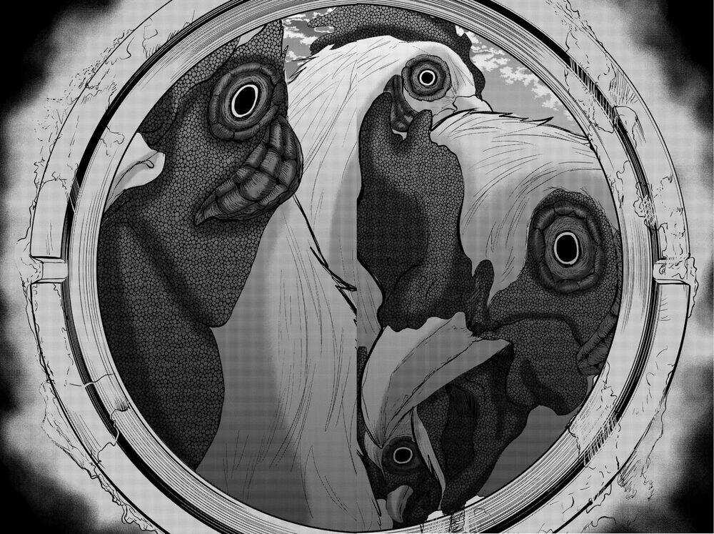 Tiếng Gáy Sát Thủ Chapter 7 trang 11