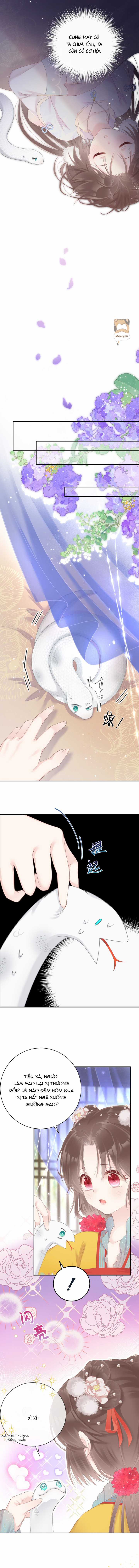 Tiểu Bạch Xà Lại Chọc Tôi Chapter 2 trang 5