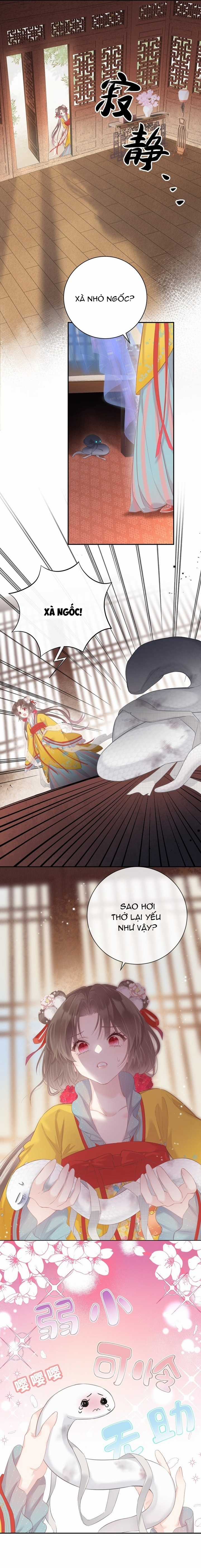 Tiểu Bạch Xà Lại Chọc Tôi Chapter 3 trang 4