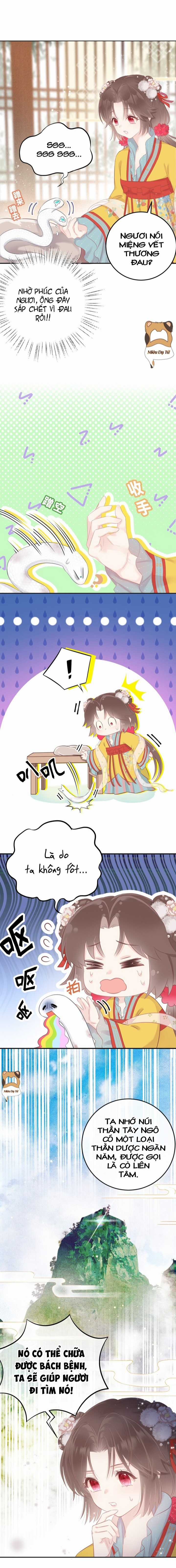 Tiểu Bạch Xà Lại Chọc Tôi Chapter 4 trang 2