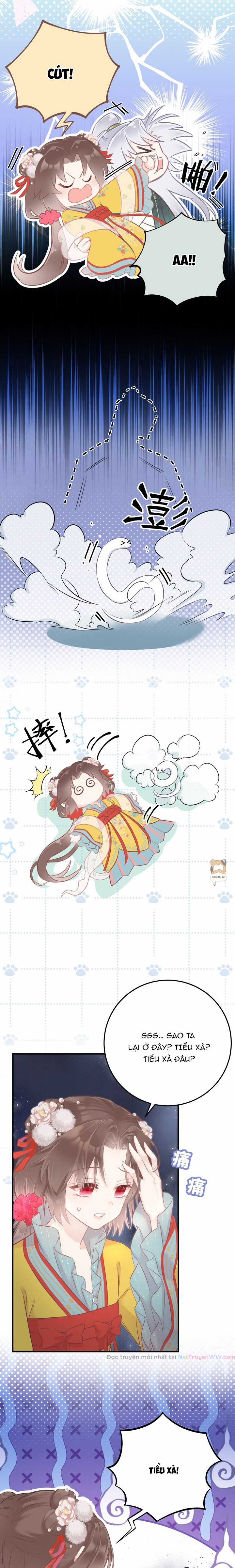 Tiểu Bạch Xà Lại Chọc Tôi Chapter 5 trang 8