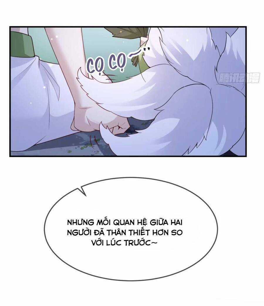 Tiểu Hồ Ly Hôm Nay Có Chút Ngoan Chapter 103 trang 12