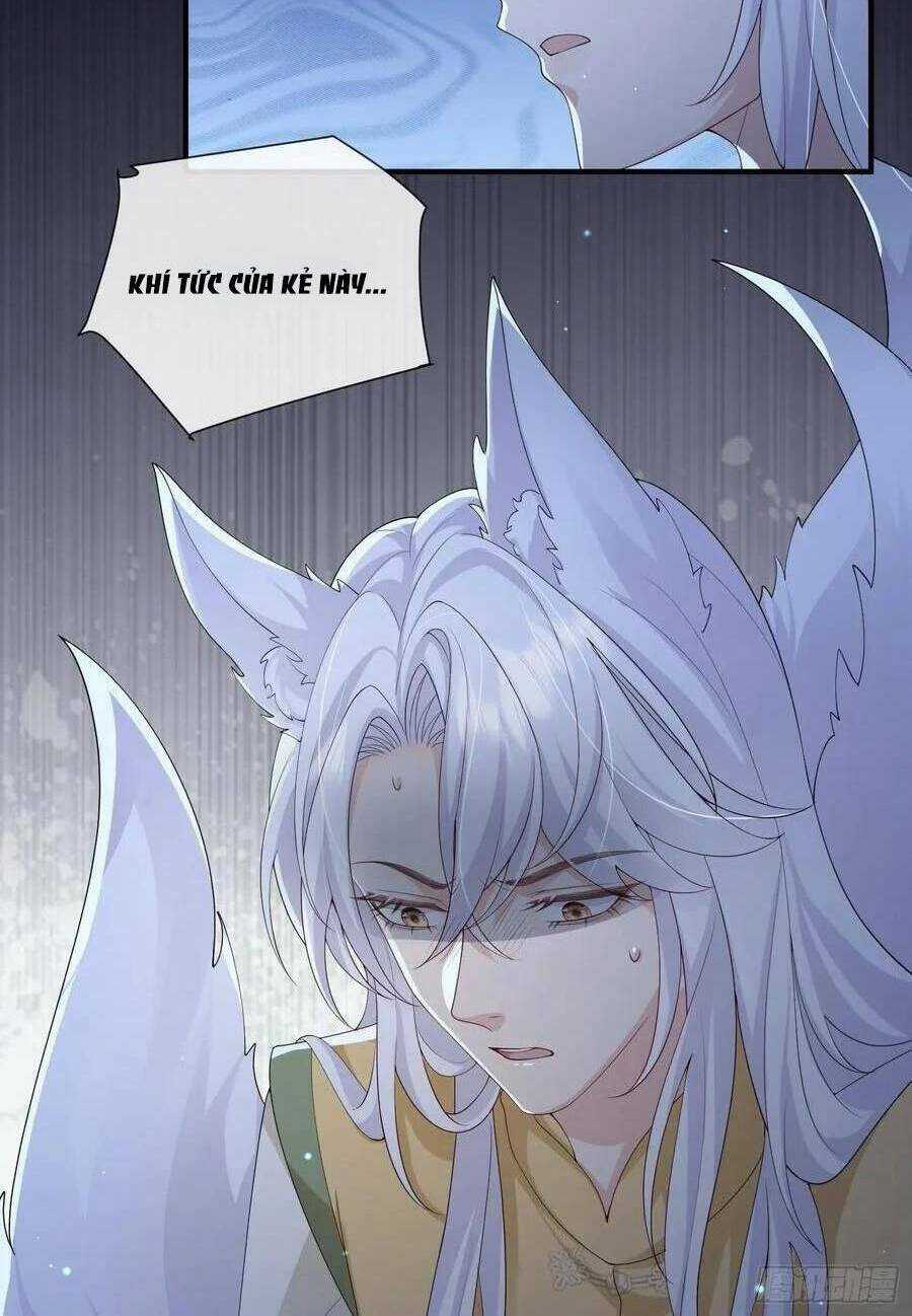 Tiểu Hồ Ly Hôm Nay Có Chút Ngoan Chapter 114 trang 11