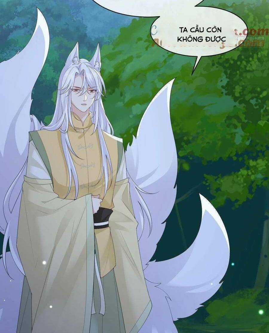 Tiểu Hồ Ly Hôm Nay Có Chút Ngoan Chapter 114 trang 5