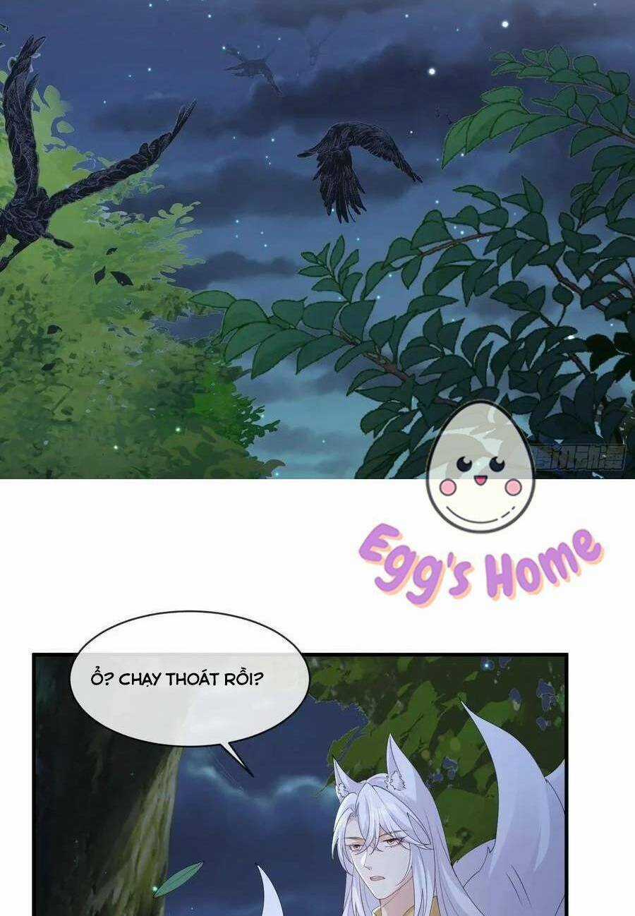 Tiểu Hồ Ly Hôm Nay Có Chút Ngoan Chapter 114 trang 9