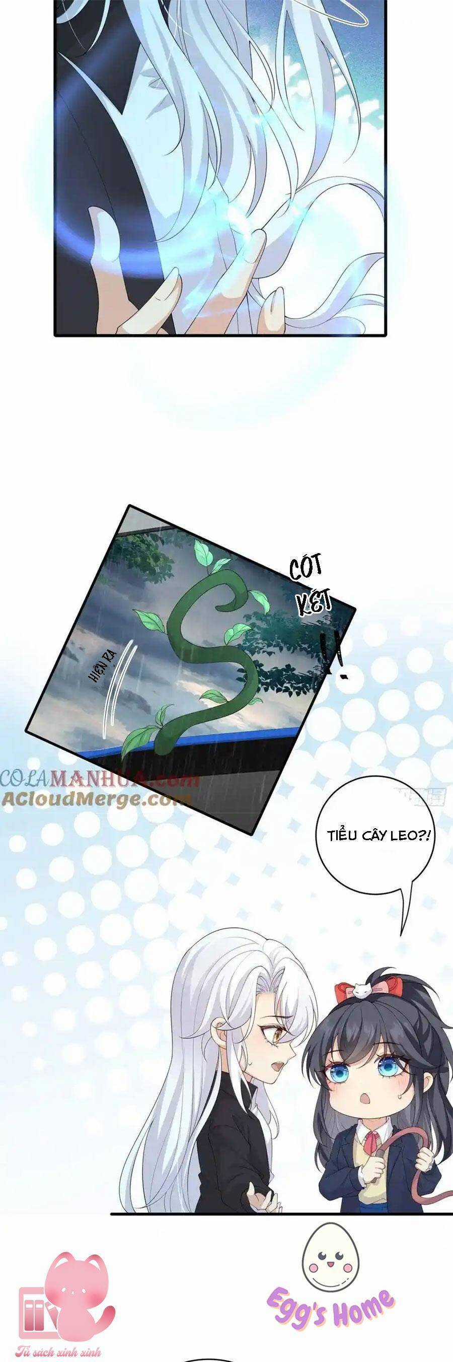 Tiểu Hồ Ly Hôm Nay Có Chút Ngoan Chapter 132 trang 5