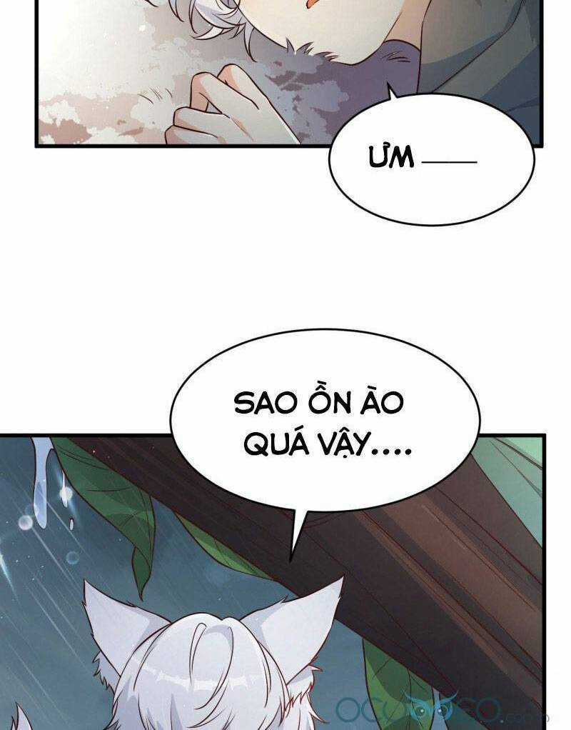 Tiểu Hồ Ly Hôm Nay Có Chút Ngoan Chapter 3 trang 6