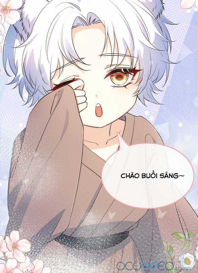 Tiểu Hồ Ly Hôm Nay Có Chút Ngoan Chapter 4 trang 40