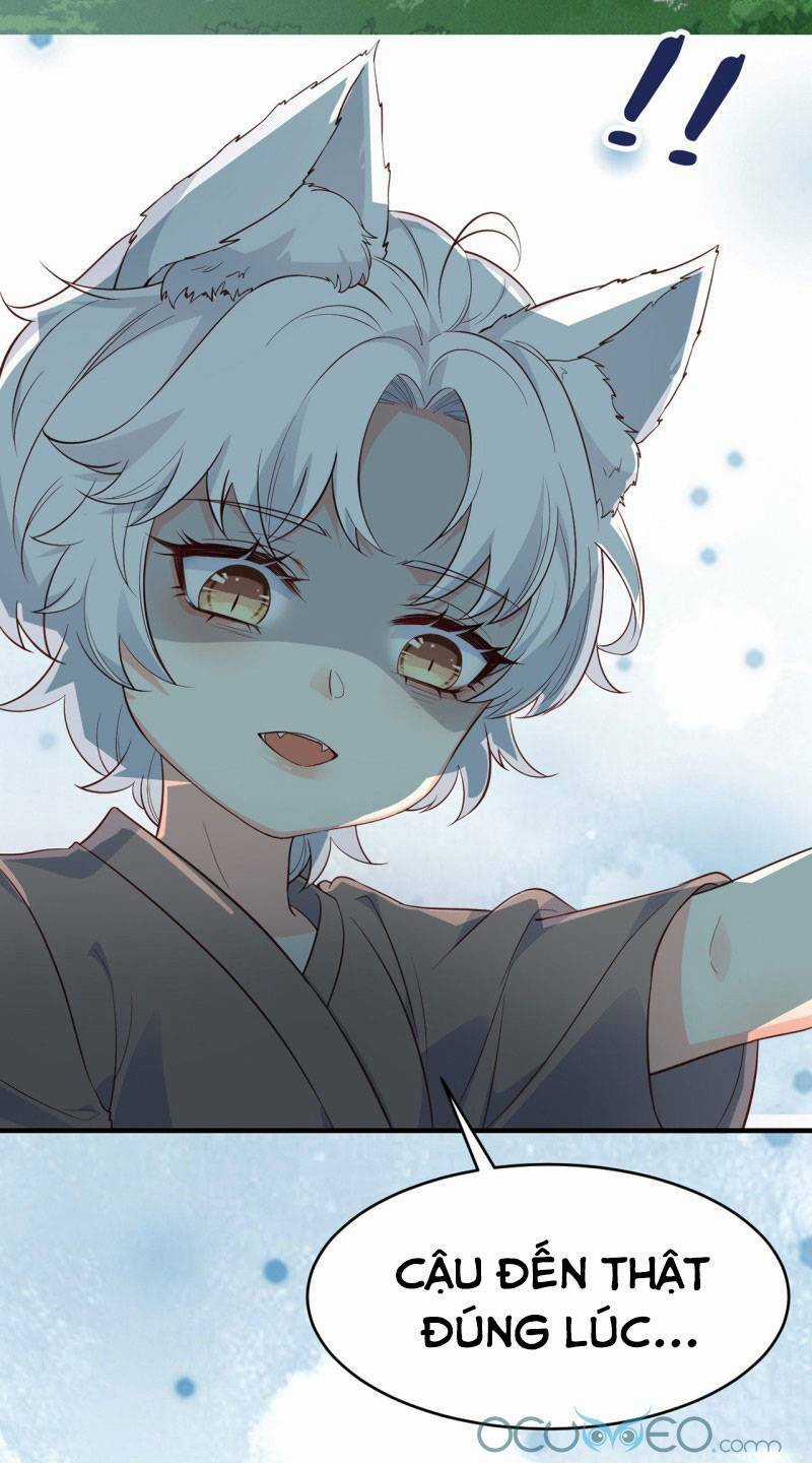 Tiểu Hồ Ly Hôm Nay Có Chút Ngoan Chapter 5 trang 23