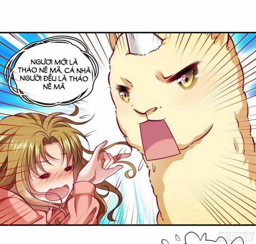 Tiểu Hoàng Thư Và Tiểu Hoàng Thúc Chapter 1 trang 17