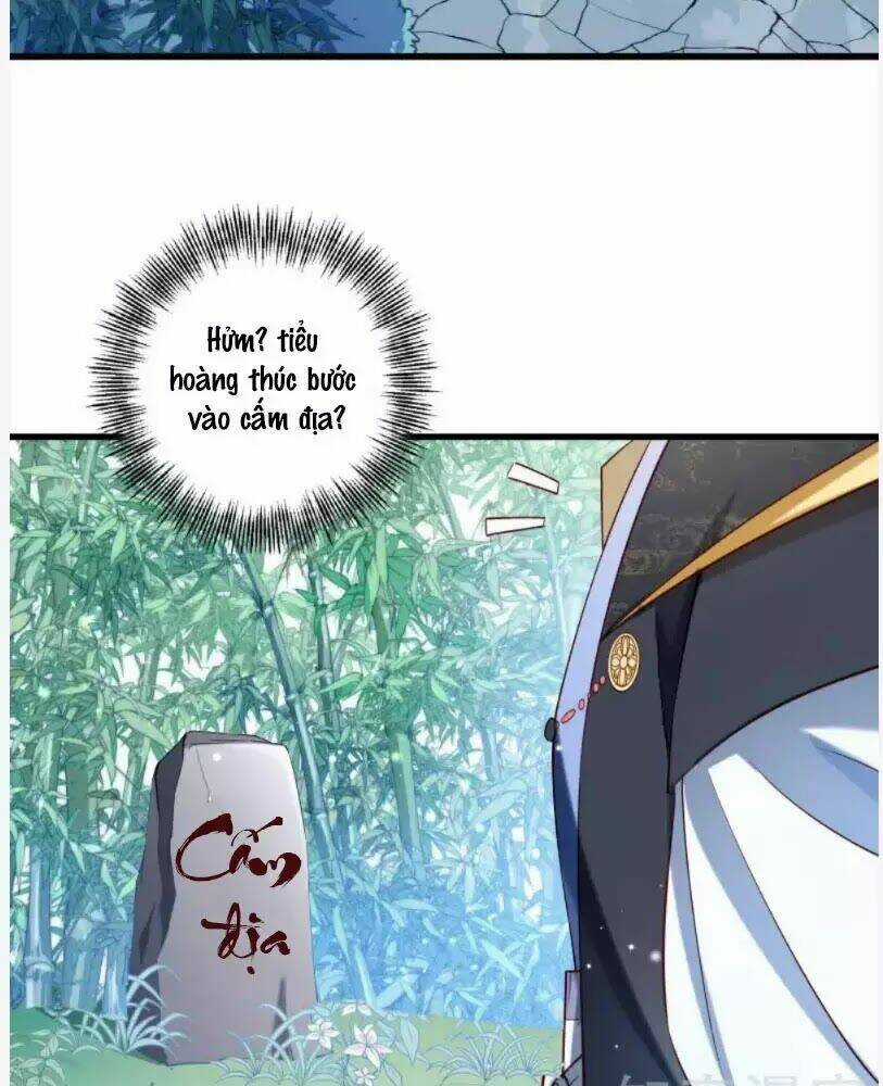 Tiểu Hoàng Thư Và Tiểu Hoàng Thúc Chapter 55 trang 34