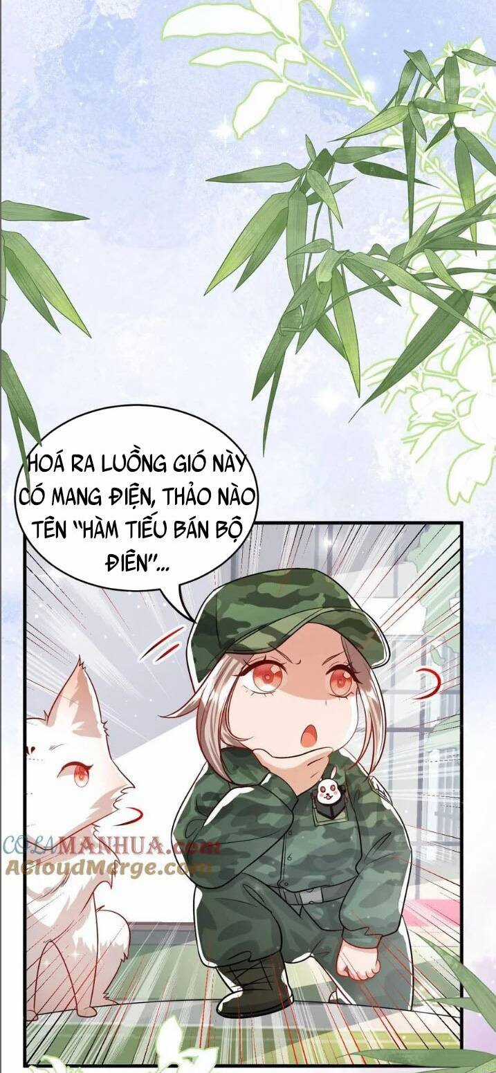 Tiểu Manh Bảo Bốn Tuổi Theo Sư Phụ Xuống Núi Chapter 241 trang 19