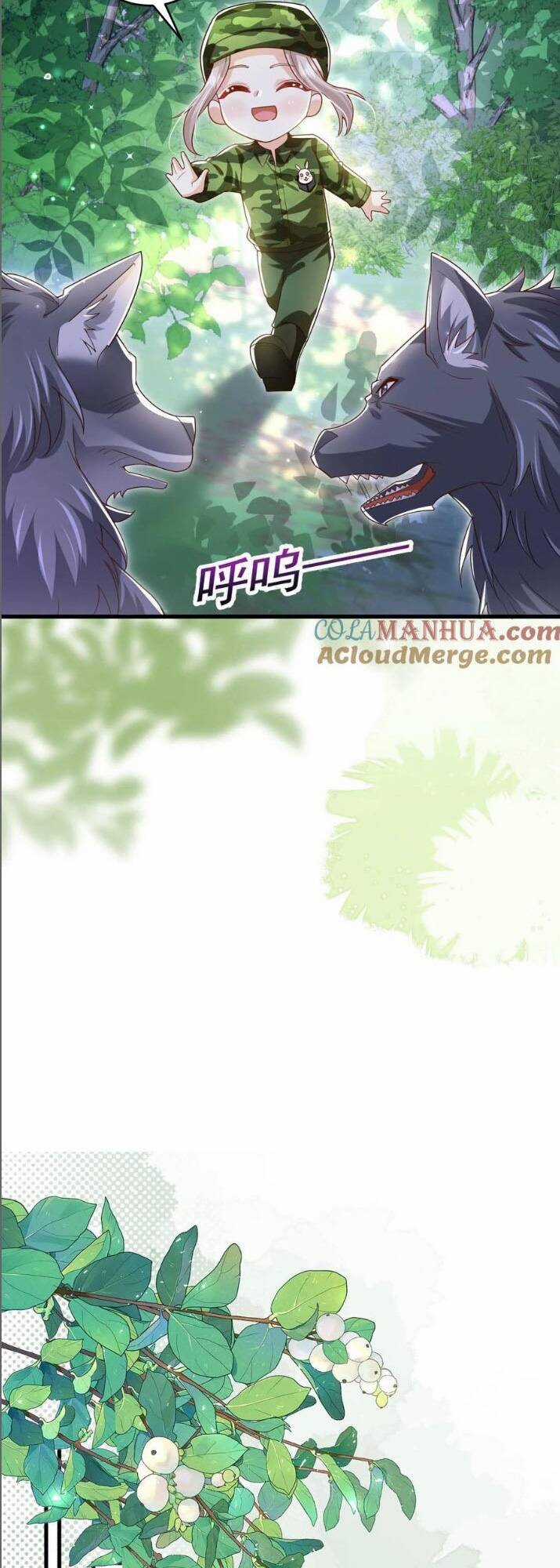 Tiểu Manh Bảo Bốn Tuổi Theo Sư Phụ Xuống Núi Chapter 247 trang 13