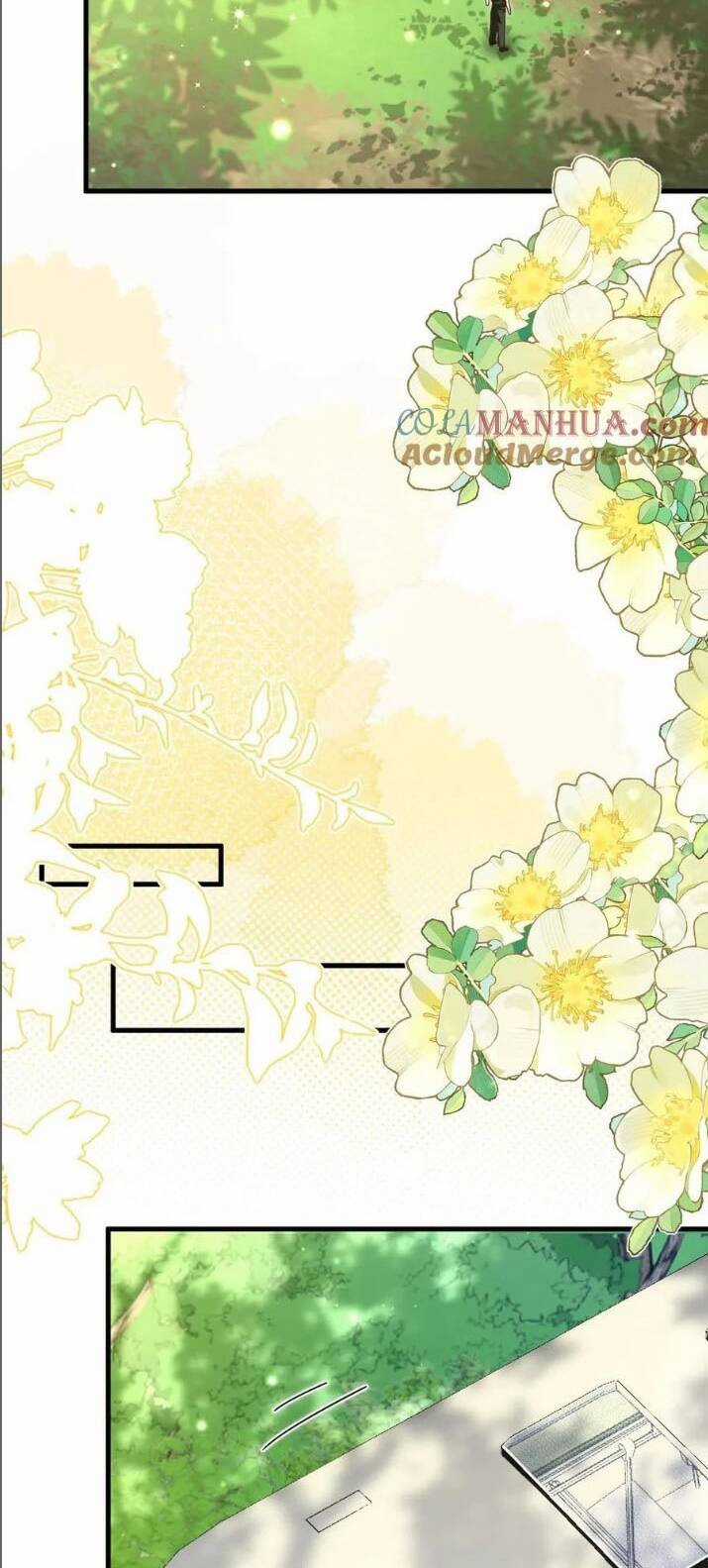 Tiểu Manh Bảo Bốn Tuổi Theo Sư Phụ Xuống Núi Chapter 247 trang 6