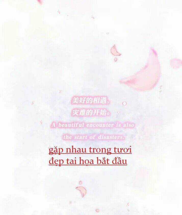 Tiểu Muội, Ngươi Đã Lấy Chồng Chưa ? Chapter 40 trang 18