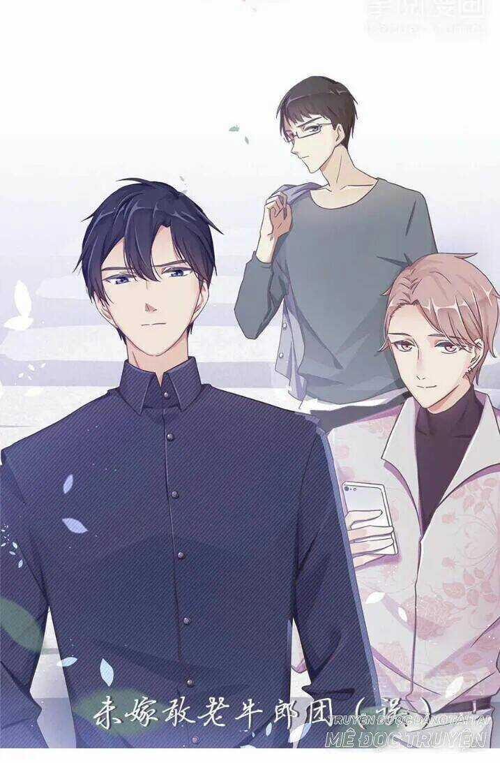 Tiểu Muội, Ngươi Đã Lấy Chồng Chưa ? Chapter 40 trang 20