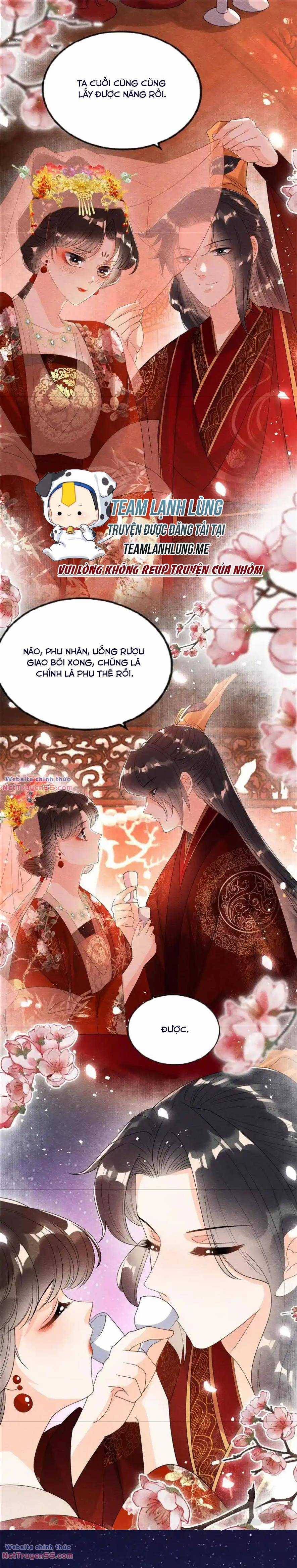 Tiêu Rồi, Lại Bị Bệnh Kiều Để Mắt Đến! Chapter 46 trang 15