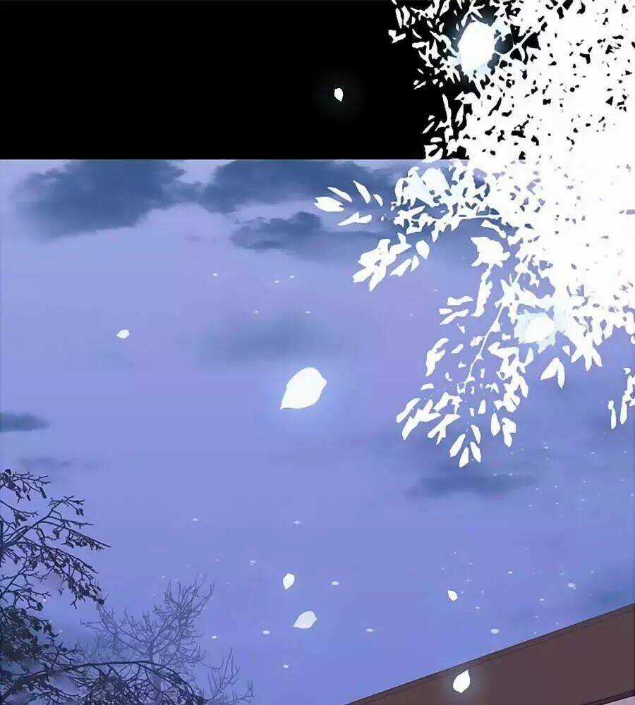 Tiểu Sư Phụ, Tóc Giả Của Ngài Rơi Rồi! Chapter 14 trang 0